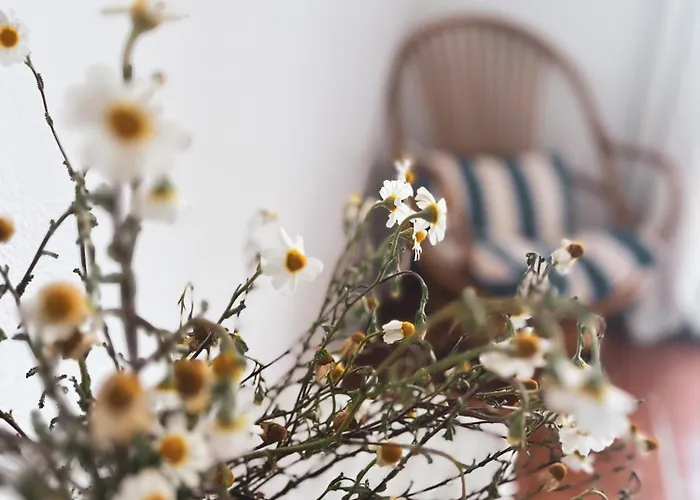 Philip's House בית נופש *